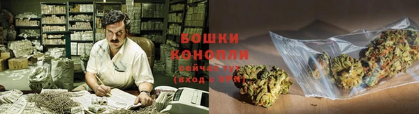 PSILOCYBIN Лиски