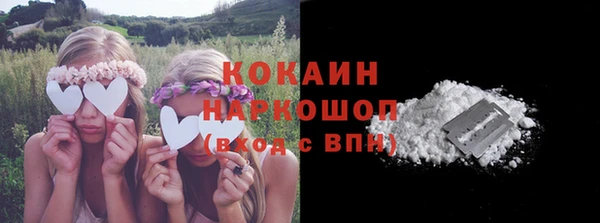PSILOCYBIN Лиски